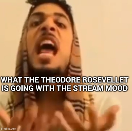 r wodr | WHAT THE THEODORE ROSEVELLET IS GOING WITH THE STREAM MOOD | image tagged in ali shakir yapping | made w/ Imgflip meme maker