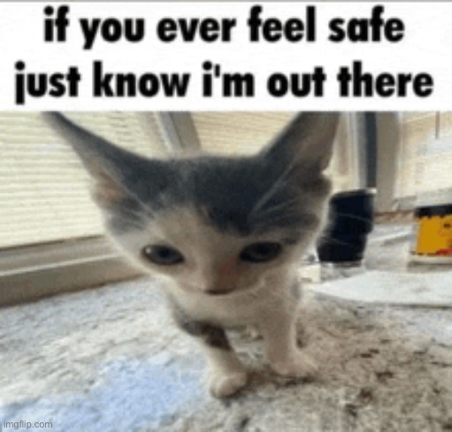 I will always come back for my fellow citizens | made w/ Imgflip meme maker