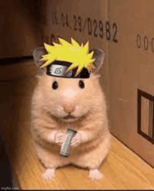 Naruto Hamster | image tagged in memes,funny,hamster | made w/ Imgflip meme maker