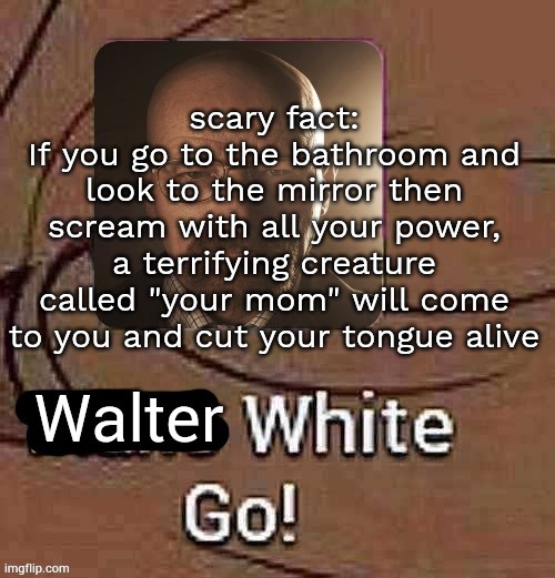 Reviving myself | scary fact:
If you go to the bathroom and look to the mirror then scream with all your power, a terrifying creature called "your mom" will come to you and cut your tongue alive | image tagged in walter white go | made w/ Imgflip meme maker