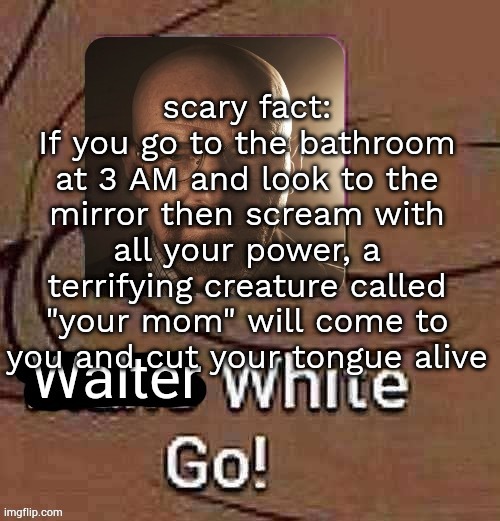 Walter White Go! | scary fact:
If you go to the bathroom at 3 AM and look to the mirror then scream with all your power, a terrifying creature called "your mom" will come to you and cut your tongue alive | image tagged in walter white go | made w/ Imgflip meme maker