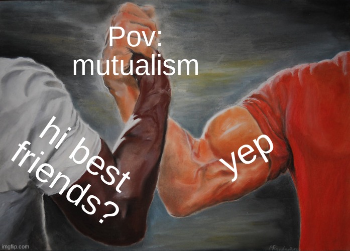 Epic Handshake Meme | Pov: mutualism; yep; hi best friends? | image tagged in memes,epic handshake | made w/ Imgflip meme maker