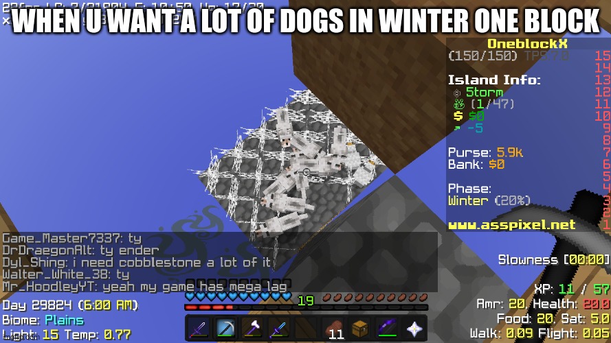 guess who's back | WHEN U WANT A LOT OF DOGS IN WINTER ONE BLOCK | image tagged in memes,minecraft | made w/ Imgflip meme maker