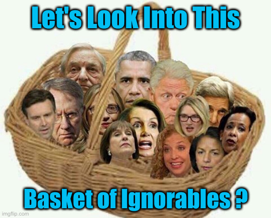 Let's Progress ! What Do You Mean, No ? | Let's Look Into This; Basket of Ignorables ? | image tagged in deplorables democrat liar,political meme,politics,funny memes,funny | made w/ Imgflip meme maker