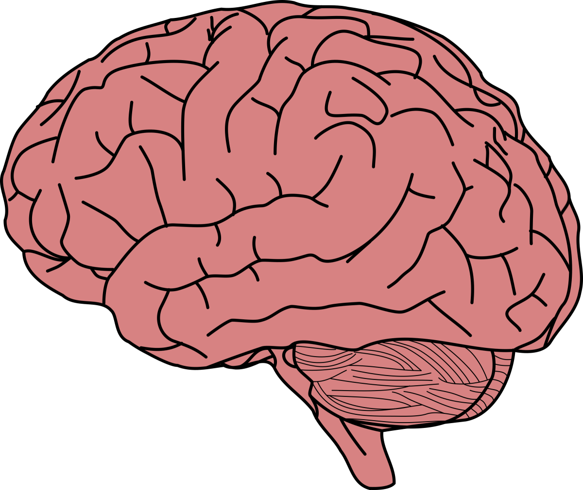 brain Blank Meme Template