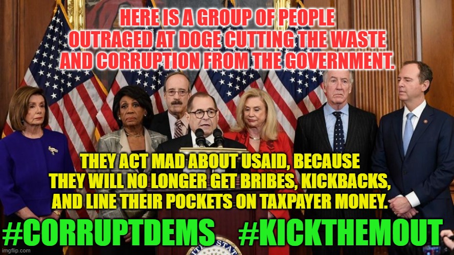 House Democrats | HERE IS A GROUP OF PEOPLE OUTRAGED AT DOGE CUTTING THE WASTE AND CORRUPTION FROM THE GOVERNMENT. THEY ACT MAD ABOUT USAID, BECAUSE THEY WILL NO LONGER GET BRIBES, KICKBACKS, AND LINE THEIR POCKETS ON TAXPAYER MONEY. #CORRUPTDEMS    #KICKTHEMOUT | image tagged in house democrats | made w/ Imgflip meme maker