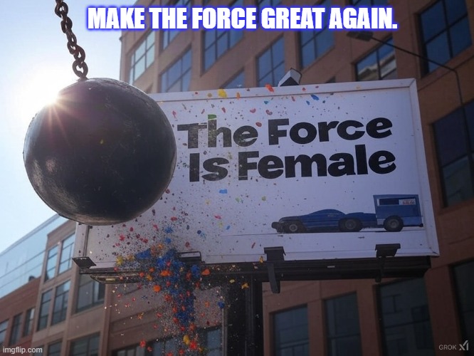 The Force is androgynous. It's not feminine or female. | MAKE THE FORCE GREAT AGAIN. | image tagged in star wars,the force,skywalker | made w/ Imgflip meme maker