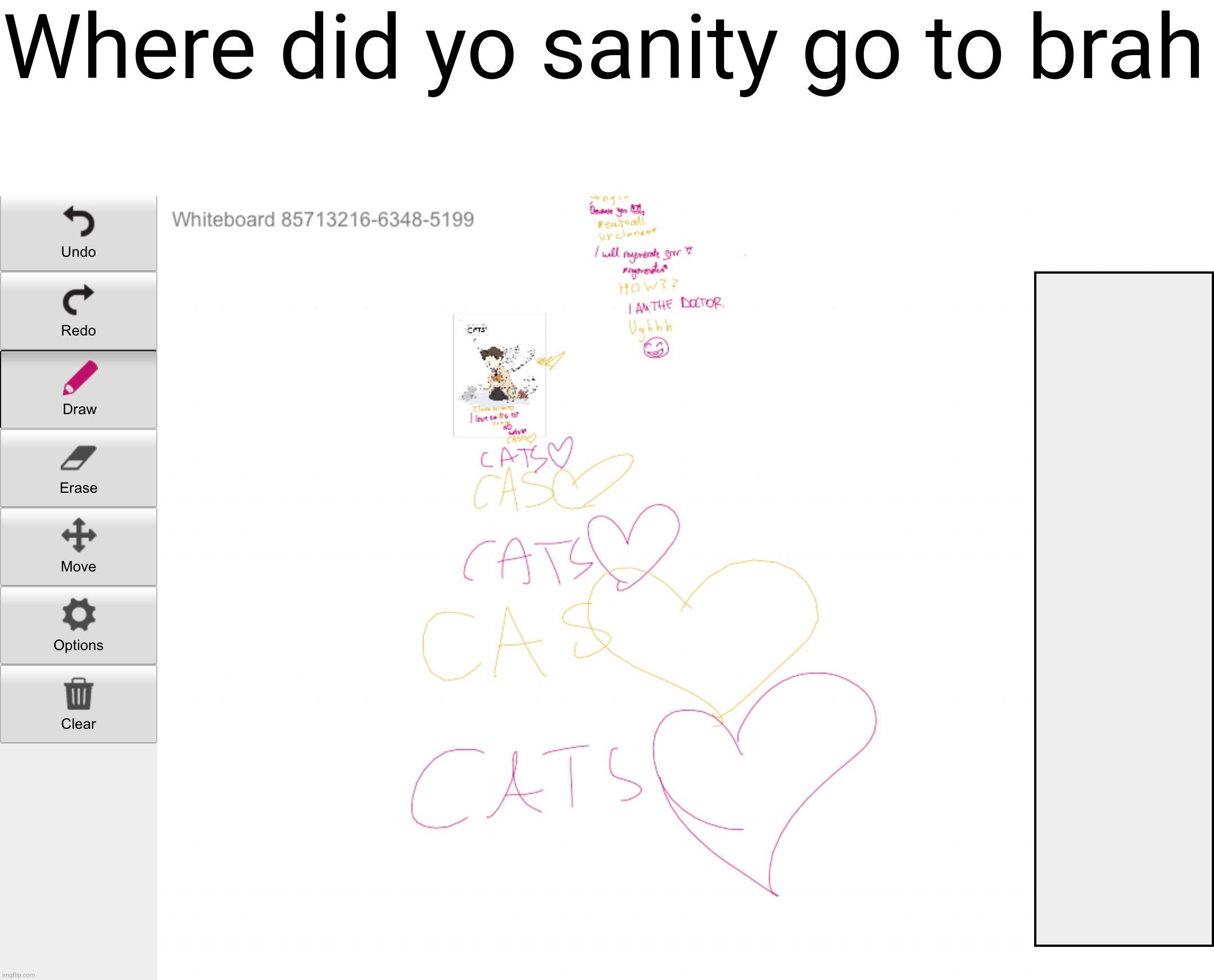 Im the one with red text | Where did yo sanity go to brah | made w/ Imgflip meme maker