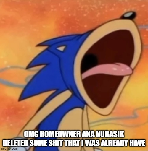 sonic scream | OMG HOMEOWNER AKA NUBASIK DELETED SOME SHIT THAT I WAS ALREADY HAVE | image tagged in sonic scream | made w/ Imgflip meme maker