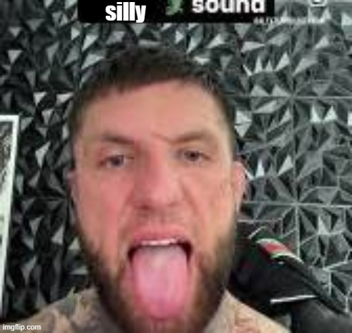 silly | made w/ Imgflip meme maker