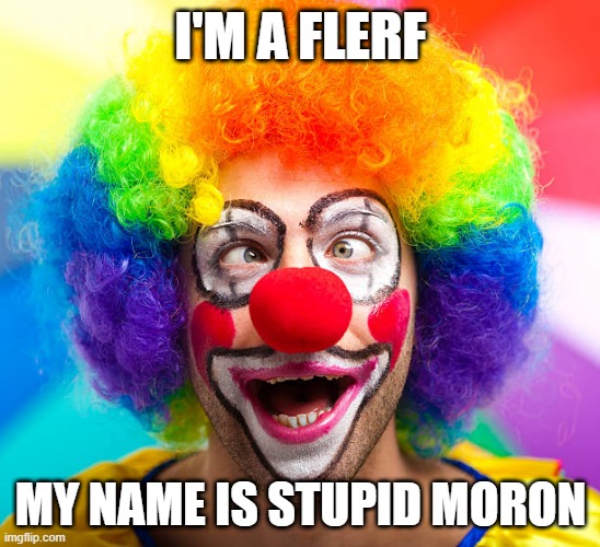 I'm a flerf | I'M A FLERF; MY NAME IS STUPID MORON | image tagged in flat earth | made w/ Imgflip meme maker