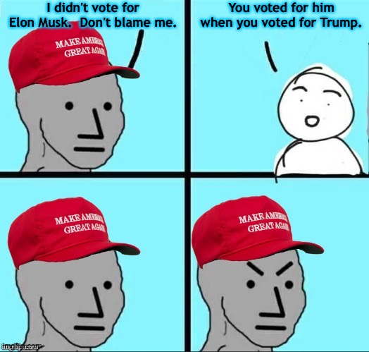 Should have thought about the company Trump keeps. | I didn't vote for Elon Musk.  Don't blame me. You voted for him when you voted for Trump. | image tagged in maga npc an an0nym0us template | made w/ Imgflip meme maker