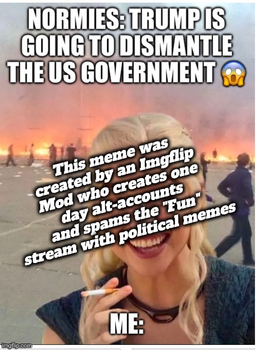 Helluva way to run a meme site | This meme was created by an Imgflip Mod who creates one day alt-accounts and spams the "Fun" stream with political memes | image tagged in trolls,trolling,politics,imgflip mods | made w/ Imgflip meme maker