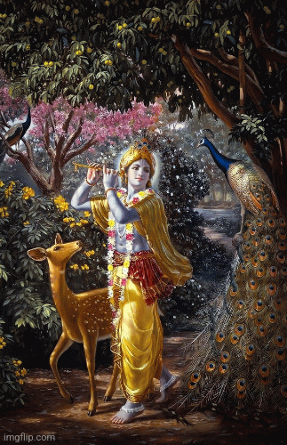 image tagged in gifs | made w/ Imgflip images-to-gif maker