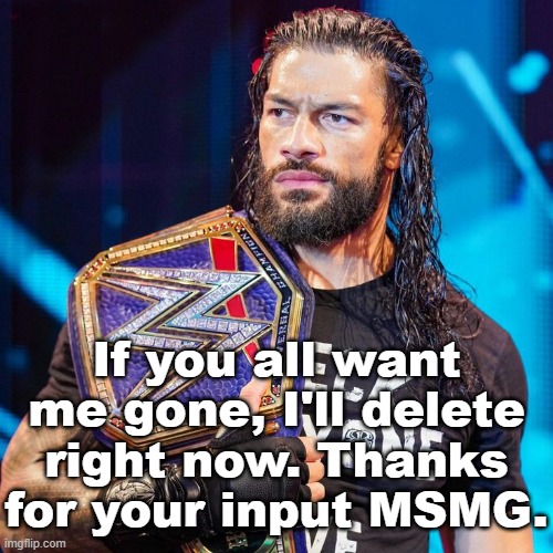 Roman Reigns | If you all want me gone, I'll delete right now. Thanks for your input MSMG. | image tagged in roman reigns | made w/ Imgflip meme maker