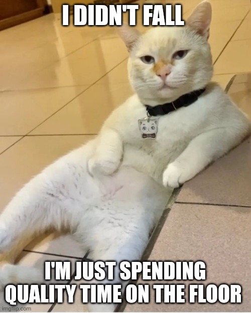 Laying on the floor | I DIDN'T FALL; I'M JUST SPENDING QUALITY TIME ON THE FLOOR | image tagged in cat laying on the floor,funny memes | made w/ Imgflip meme maker