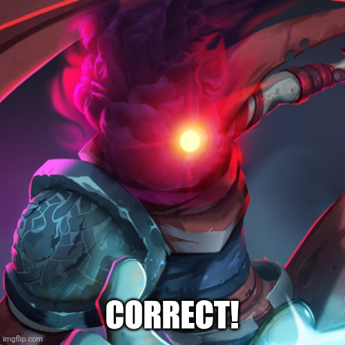 CORRECT! | image tagged in dead cells prisoner | made w/ Imgflip meme maker