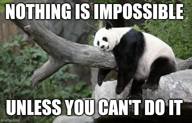 Nothing is impossible | NOTHING IS IMPOSSIBLE; UNLESS YOU CAN'T DO IT | image tagged in lazy panda,funny memes | made w/ Imgflip meme maker