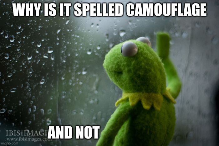 think about it | WHY IS IT SPELLED CAMOUFLAGE; AND NOT | image tagged in kermit window | made w/ Imgflip meme maker