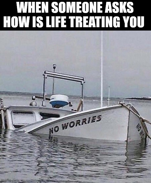 When Someone Asks How Is Life Treating You | WHEN SOMEONE ASKS HOW IS LIFE TREATING YOU | image tagged in chris joines | made w/ Imgflip meme maker