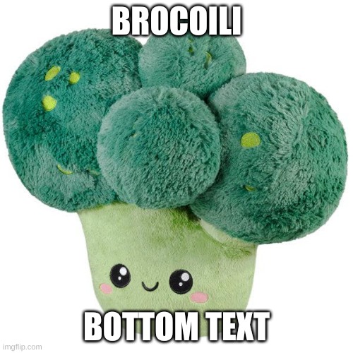 brocoili | BROCOILI; BOTTOM TEXT | image tagged in brocoili | made w/ Imgflip meme maker