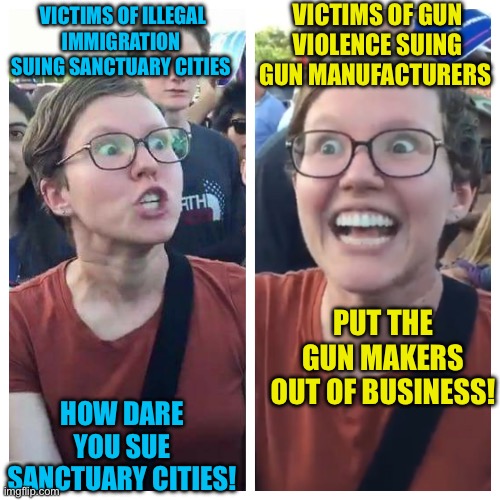 Social Justice Warrior Hypocrisy | VICTIMS OF ILLEGAL IMMIGRATION  SUING SANCTUARY CITIES HOW DARE YOU SUE SANCTUARY CITIES! VICTIMS OF GUN VIOLENCE SUING GUN MANUFACTURERS PU | image tagged in social justice warrior hypocrisy | made w/ Imgflip meme maker