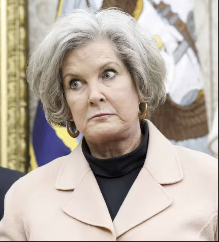 High Quality Susie Wiles Blank Meme Template