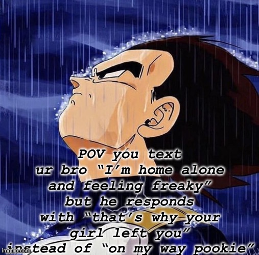 Trust chat | POV you text ur bro “I’m home alone and feeling freaky” but he responds with “that’s why your girl left you” instead of “on my way pookie” | image tagged in vegeta | made w/ Imgflip meme maker