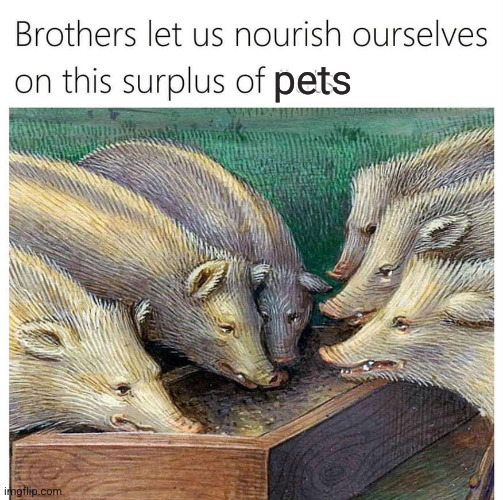 Surplus of oats | pets | image tagged in surplus of oats | made w/ Imgflip meme maker