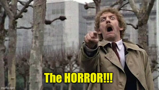 Horror | The HORROR!!! | image tagged in horror | made w/ Imgflip meme maker