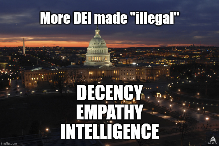 DEI | More DEI made "illegal"; DECENCY
EMPATHY
INTELLIGENCE | image tagged in us capitol building at night | made w/ Imgflip meme maker