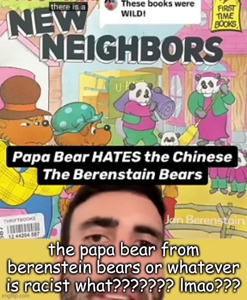 the papa bear from berenstein bears or whatever is racist what??????? lmao??? | made w/ Imgflip meme maker