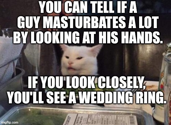 Smudge that darn cat | YOU CAN TELL IF A GUY MASTURBATES A LOT BY LOOKING AT HIS HANDS. IF YOU LOOK CLOSELY, YOU'LL SEE A WEDDING RING. | image tagged in smudge that darn cat | made w/ Imgflip meme maker