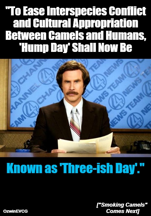 ["Smoking Camels" Comes Next] | "To Ease Interspecies Conflict 

and Cultural Appropriation 

Between Camels and Humans, 

'Hump Day' Shall Now Be; Known as 'Three-ish Day'."; ["Smoking Camels" 

Comes Next]; OzwinEVCG | image tagged in breaking news,ron burgundy,political humor,clown world,cultural appropriation,reeeee | made w/ Imgflip meme maker