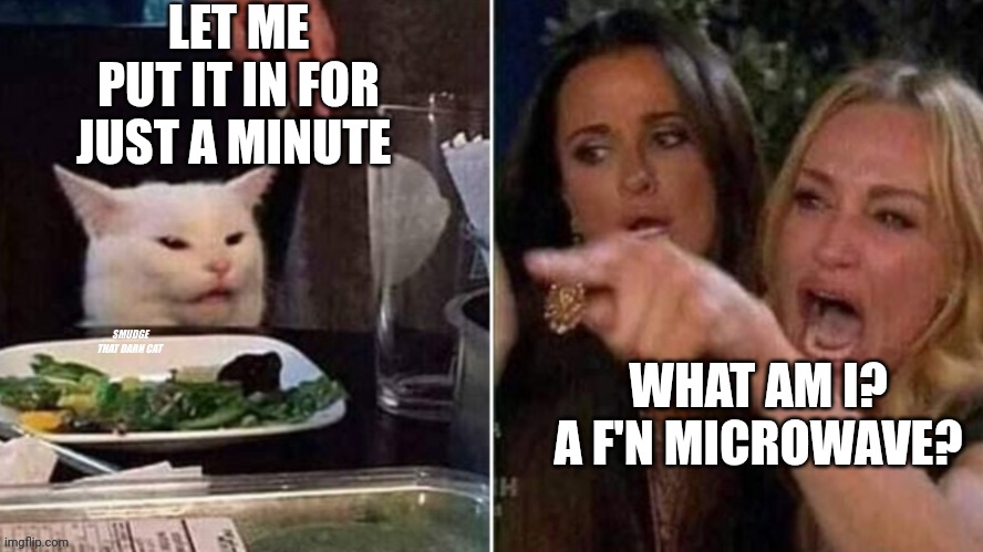 Reverse Smudge that darn cat | LET ME PUT IT IN FOR JUST A MINUTE; WHAT AM I? A F'N MICROWAVE? | image tagged in reverse smudge that darn cat | made w/ Imgflip meme maker