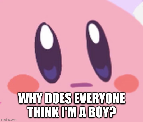 ..... | WHY DOES EVERYONE THINK I'M A BOY? | image tagged in blank kirby face,bruh | made w/ Imgflip meme maker