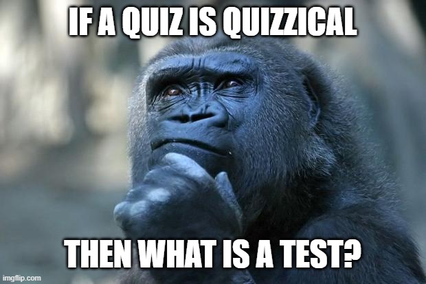 iF... | IF A QUIZ IS QUIZZICAL; THEN WHAT IS A TEST? | image tagged in deep thoughts | made w/ Imgflip meme maker