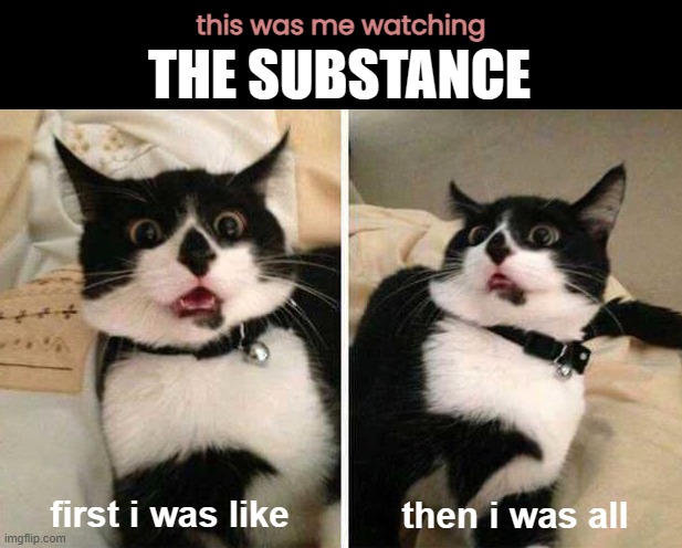 The end of the movie "The Substance" was...something. | this was me watching; THE SUBSTANCE; then i was all; first i was like | image tagged in the substance,oscar nominees 2025 | made w/ Imgflip meme maker