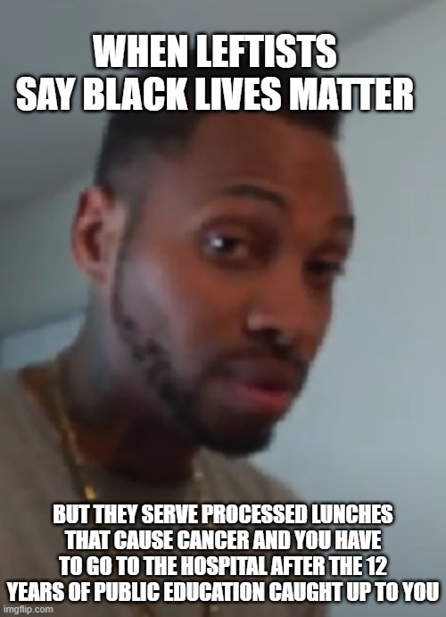 Loza Alexander | WHEN LEFTISTS SAY BLACK LIVES MATTER; BUT THEY SERVE PROCESSED LUNCHES THAT CAUSE CANCER AND YOU HAVE TO GO TO THE HOSPITAL AFTER THE 12 YEARS OF PUBLIC EDUCATION CAUGHT UP TO YOU | image tagged in school lunch | made w/ Imgflip meme maker