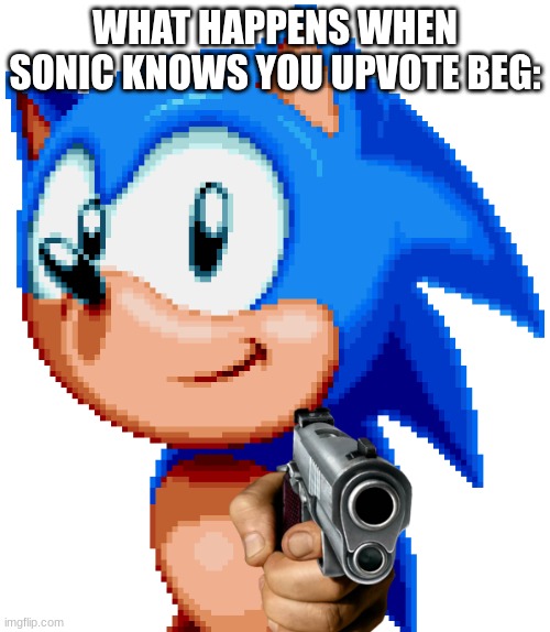 Don't upvote beg | WHAT HAPPENS WHEN SONIC KNOWS YOU UPVOTE BEG: | image tagged in sonic with a gun | made w/ Imgflip meme maker