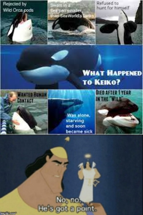 Keiko died in the wild, so stop talking about what happened to Tilikum and support SeaWorld; it's the only way to save them | image tagged in no no hes got a point,seaworld,keiko,marine parks,anti blackfish | made w/ Imgflip meme maker