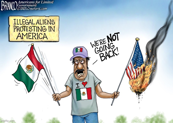 Illegals want US citizenship but yet they burn the American flag | image tagged in usa | made w/ Imgflip meme maker