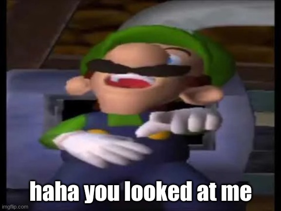 Luigi Pointing and Laughing | haha you looked at me | image tagged in luigi pointing and laughing | made w/ Imgflip meme maker