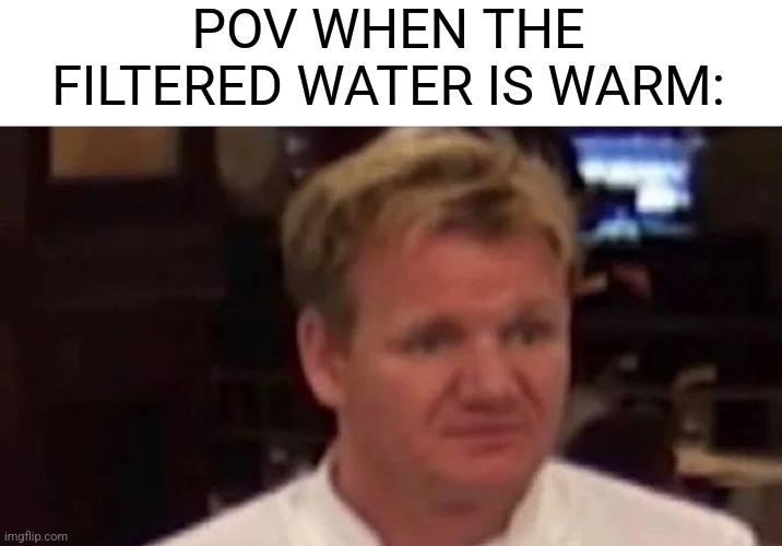 Disgusting... | POV WHEN THE FILTERED WATER IS WARM: | image tagged in disgusted gordon ramsay,memes,funny,relatable,for real | made w/ Imgflip meme maker