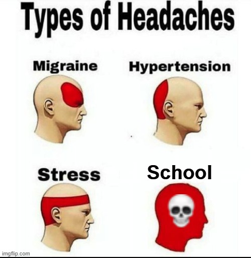 Types of Headaches meme | School | image tagged in types of headaches meme | made w/ Imgflip meme maker