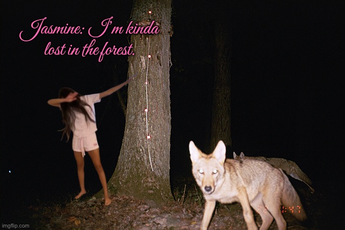 Coyotes Help A Lost Girl | Jasmine: I’m kinda lost in the forest. | image tagged in coyote,girl,pretty girl,cute girl,forest,beautiful girl | made w/ Imgflip meme maker