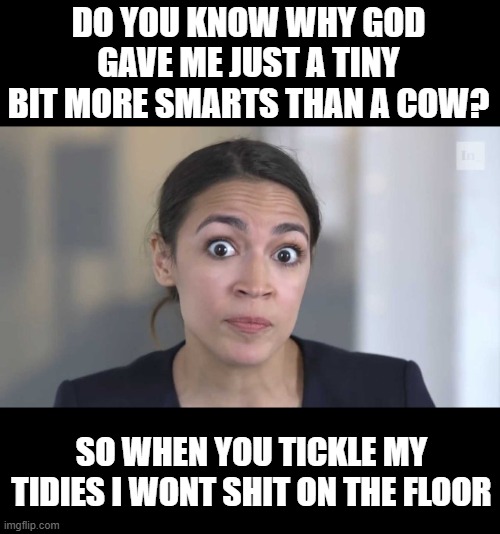 Crazy Alexandria Ocasio-Cortez | DO YOU KNOW WHY GOD GAVE ME JUST A TINY BIT MORE SMARTS THAN A COW? SO WHEN YOU TICKLE MY TIDIES I WONT SHIT ON THE FLOOR | image tagged in crazy alexandria ocasio-cortez | made w/ Imgflip meme maker