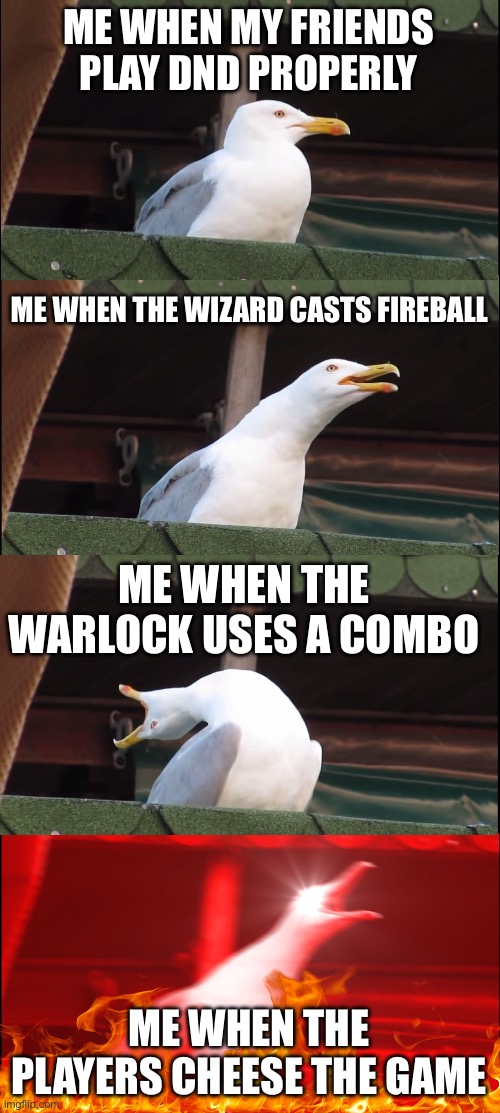 Inhaling Seagull | ME WHEN MY FRIENDS PLAY DND PROPERLY; ME WHEN THE WIZARD CASTS FIREBALL; ME WHEN THE WARLOCK USES A COMBO; ME WHEN THE PLAYERS CHEESE THE GAME | image tagged in memes,inhaling seagull,dnd | made w/ Imgflip meme maker