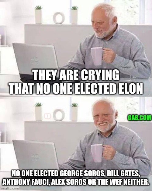 Taxation is theft | THEY ARE CRYING THAT NO ONE ELECTED ELON; GAB.COM; KD; NO ONE ELECTED GEORGE SOROS, BILL GATES, ANTHONY FAUCI, ALEX SOROS OR THE WEF NEITHER. | image tagged in democrats,republicans,elon musk,elon,doge,government | made w/ Imgflip meme maker