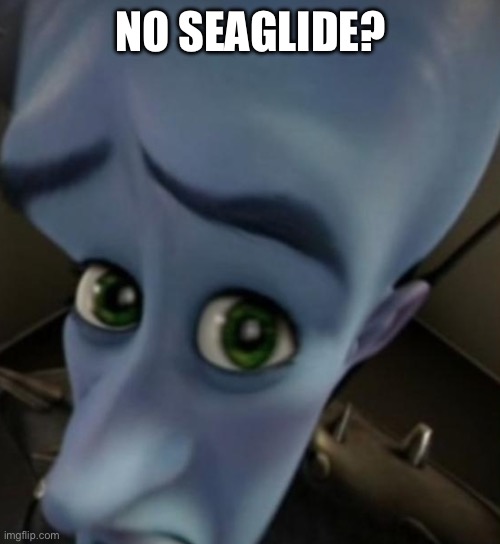 No seaglide? | NO SEAGLIDE? | image tagged in megamind no bitches,subnautica | made w/ Imgflip meme maker